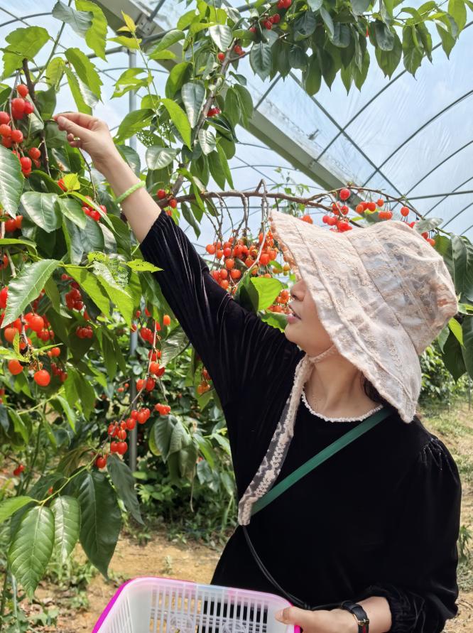 17d31a015696d9443500c722e8127d4