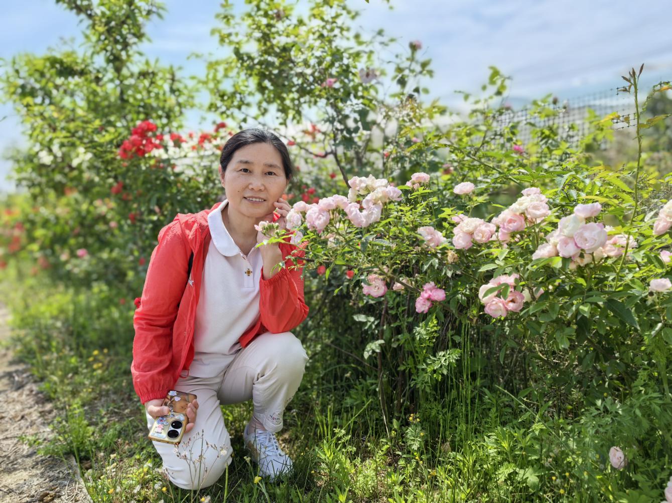 bc8e68bbe8d1d6619a7c183768da3cc