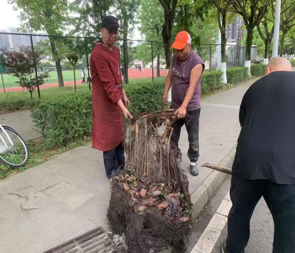 8858eb93a864991a05f12d41e573100