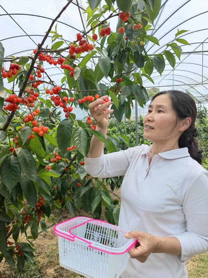 45579b90194490c6ac0903689b7a73d