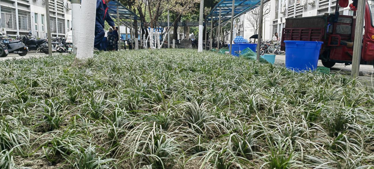 87e562cbd9a968fff7504f36bea15c0