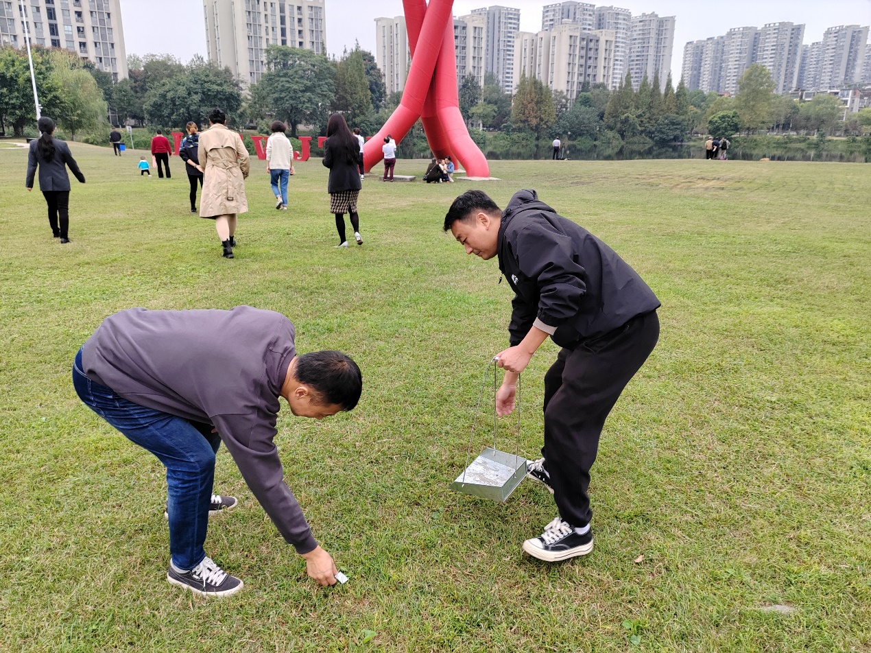 人们在草地上描述已自动生成