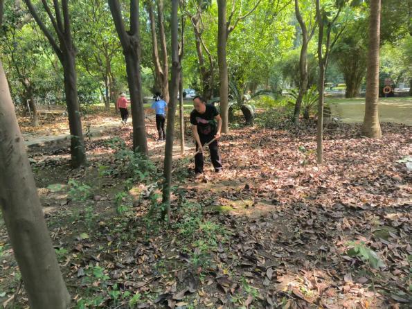 2698af3df3f0a969f10e0676d5eaeab2_