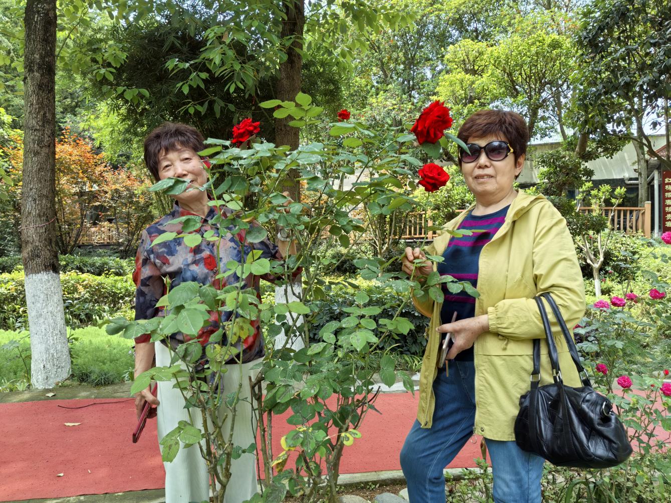 cc6e387921c63d4bdb0e3b8cfc010d1