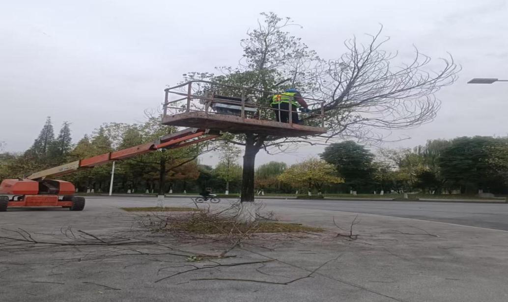 1a053568555622f42d73d3894c70de3